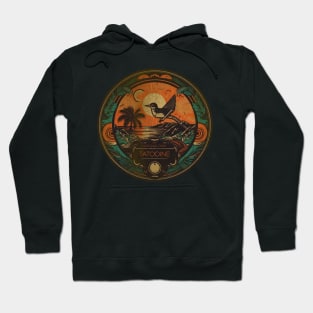 Tatooine National Park Hoodie